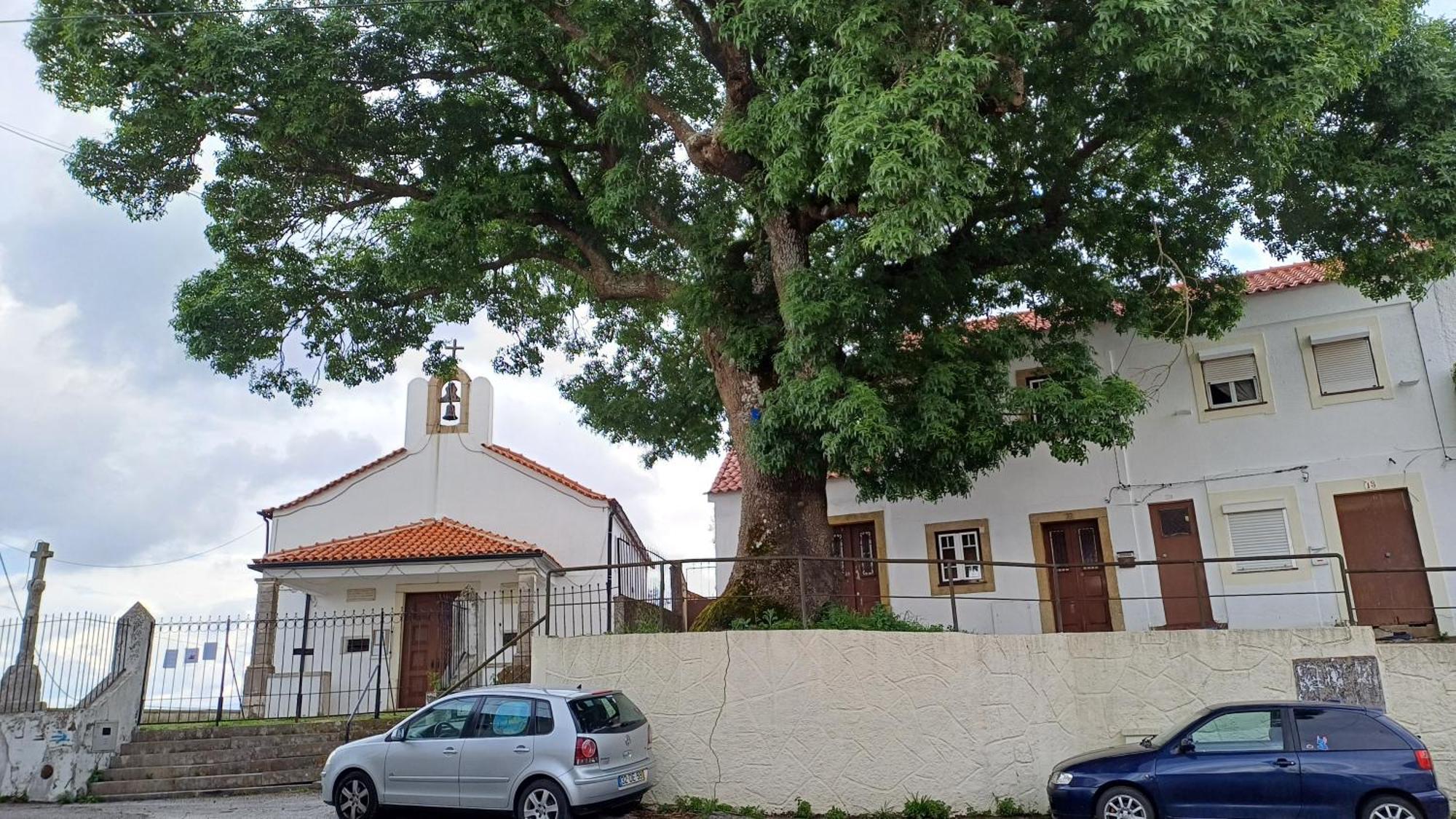 Casa Da Tia Lena Coimbra Exterior foto
